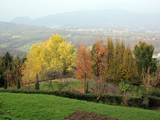 Parco della Valle del Curone - Gite in Lombardia