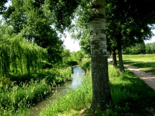 parco-vernavola