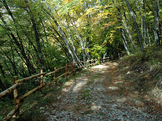 riserva-naturale-monte-alpe