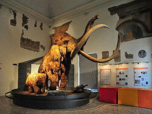 museo-scienze-naturali-bergamo