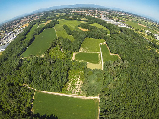 parco-del-lura