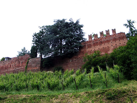 parco_collina_san_colombano
