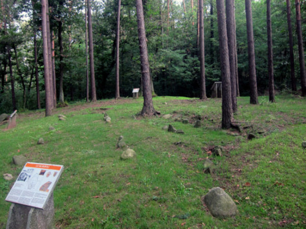 Area Archeologica del Monsorino di Golasecca