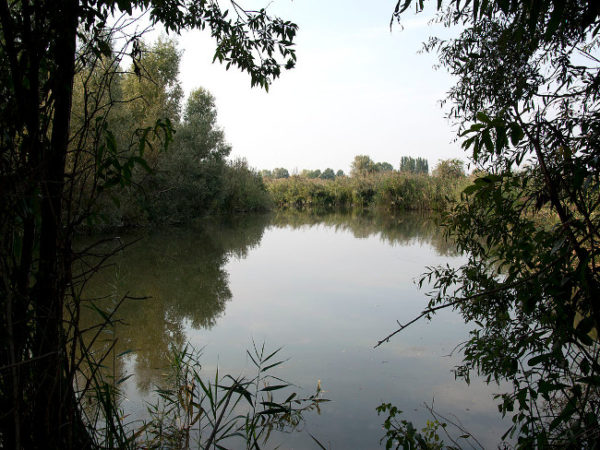 Oasi Lipu Palude Ostiglia